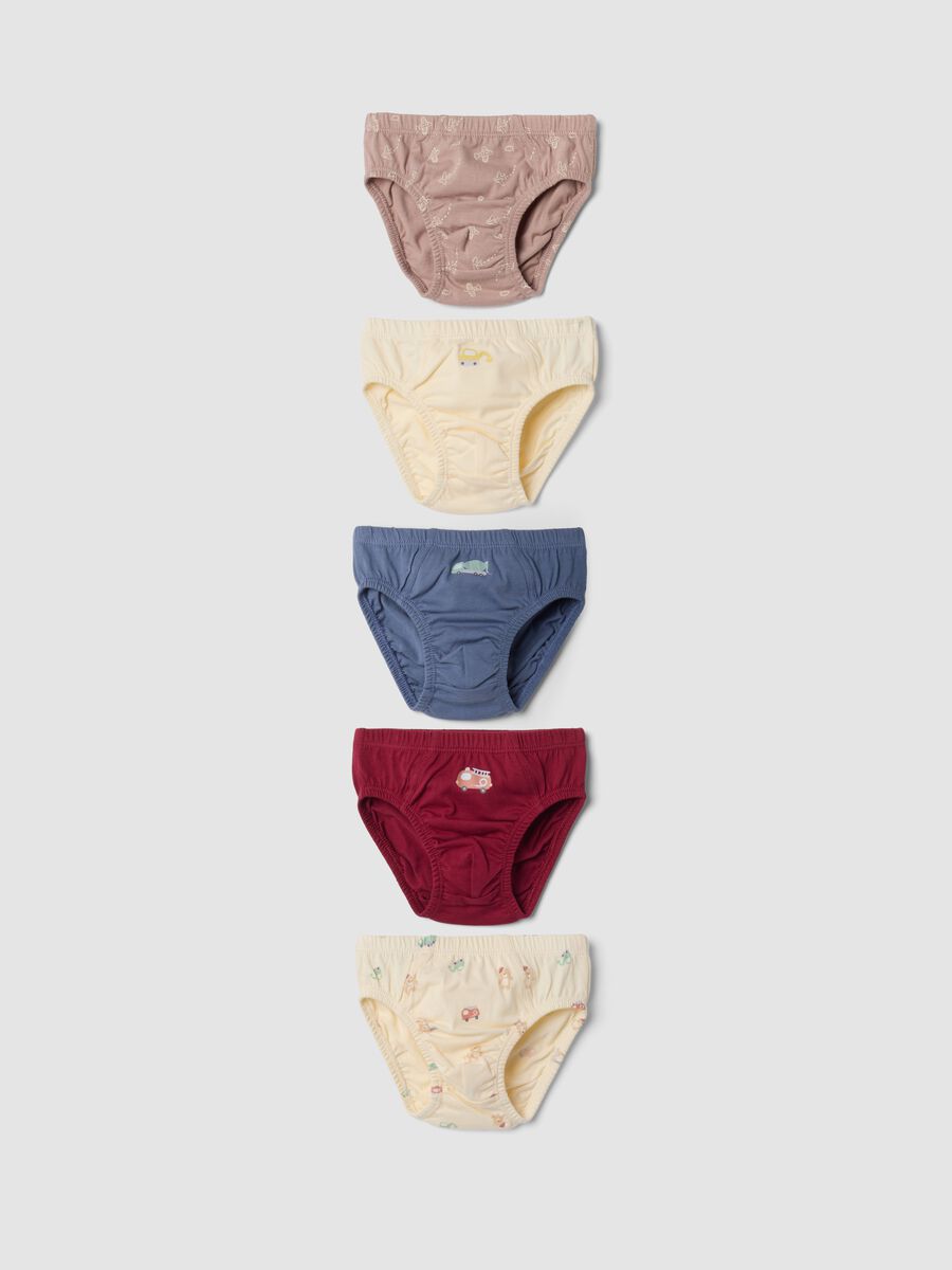 Pack of five multicoloured briefs in pure organic cotton_0