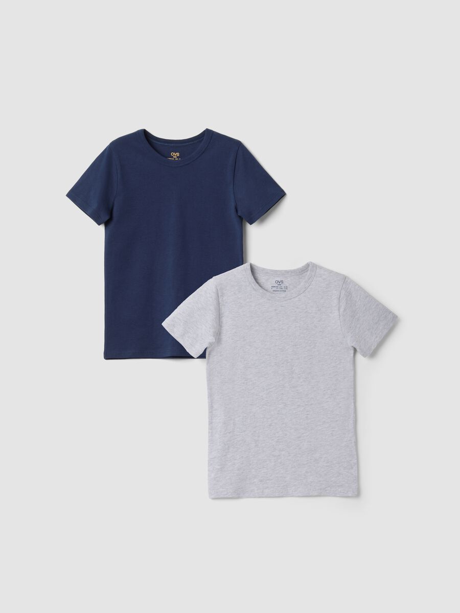 2-pack grey and blue crew-neck T-shirts in pure organic cotton_0