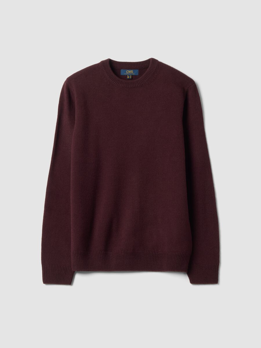 Burgundy crew-neck jersey knit jumper, regular fit_0