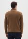 Brown Regular Fit Knitted Jumper_2