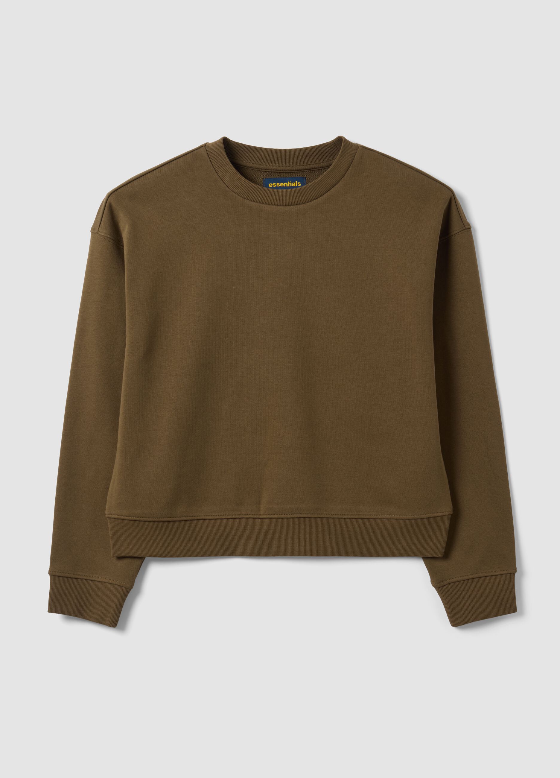 Felpa verde in misto cotone a girocollo regular fit