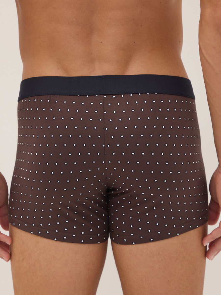 3er-Pack braune Boxer aus elastischer Bio-Baumwolle mit Punkten_2