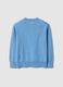 Blue children's pure cotton crew neck jumper regular fit_1