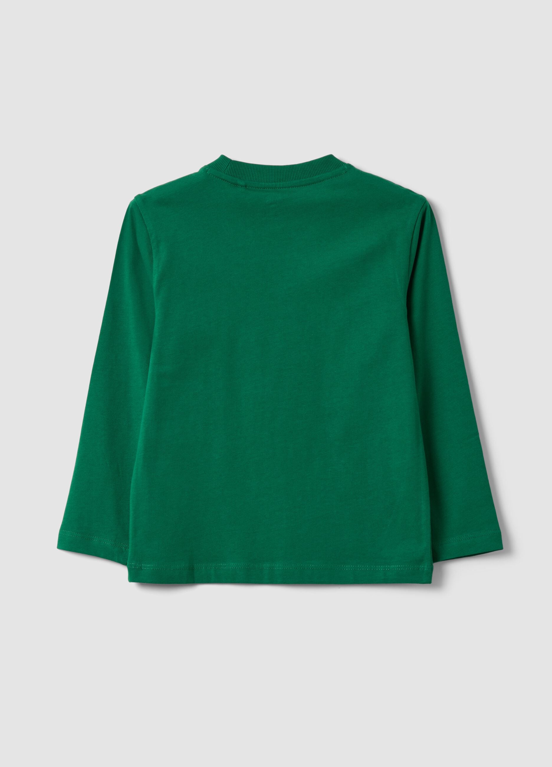 Gr&uuml;nes T-Shirt aus reiner Bio-Baumwolle mit Rundhalsausschnitt