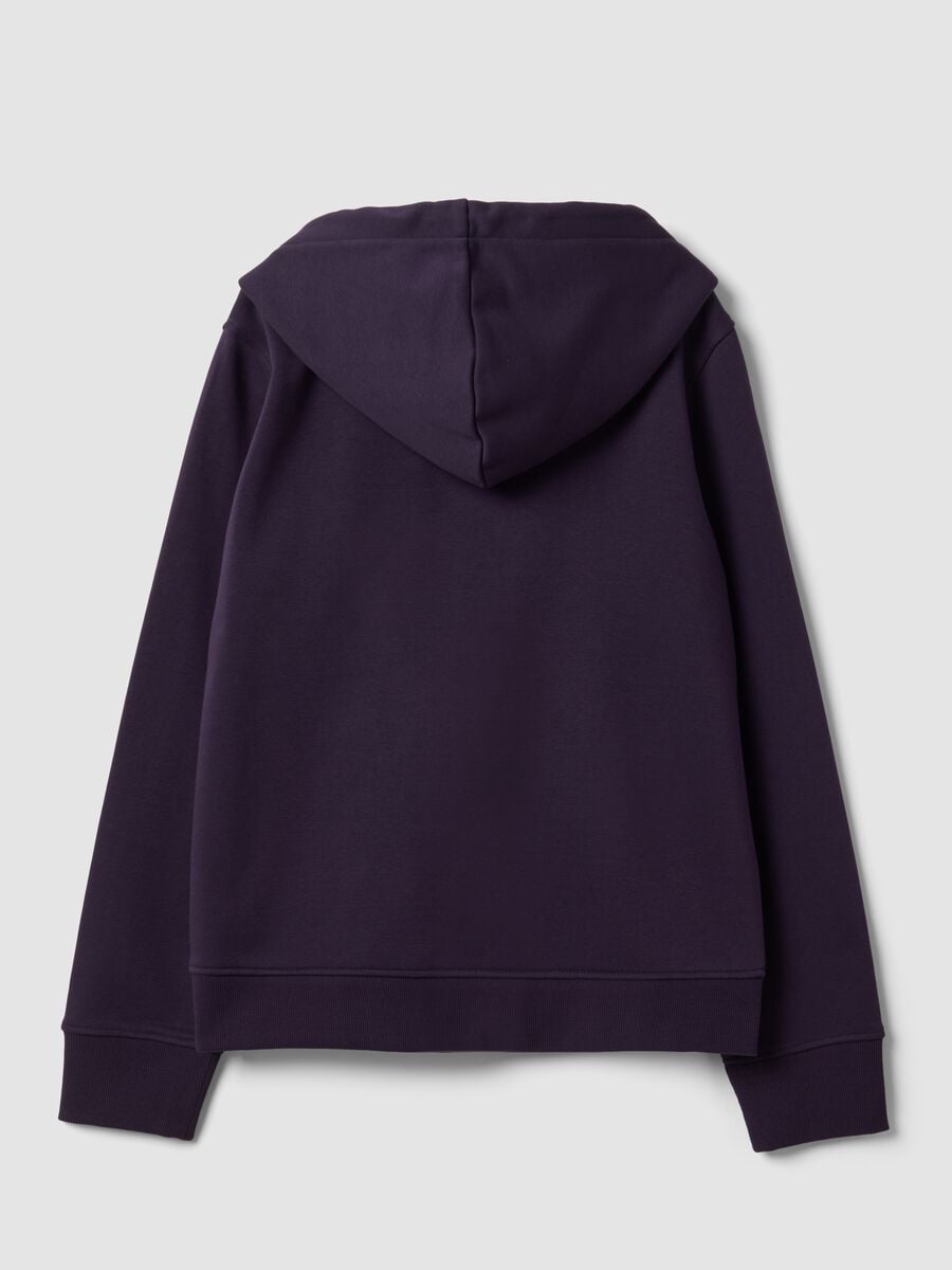 Purple cotton-blend hoodie, regular fit_1