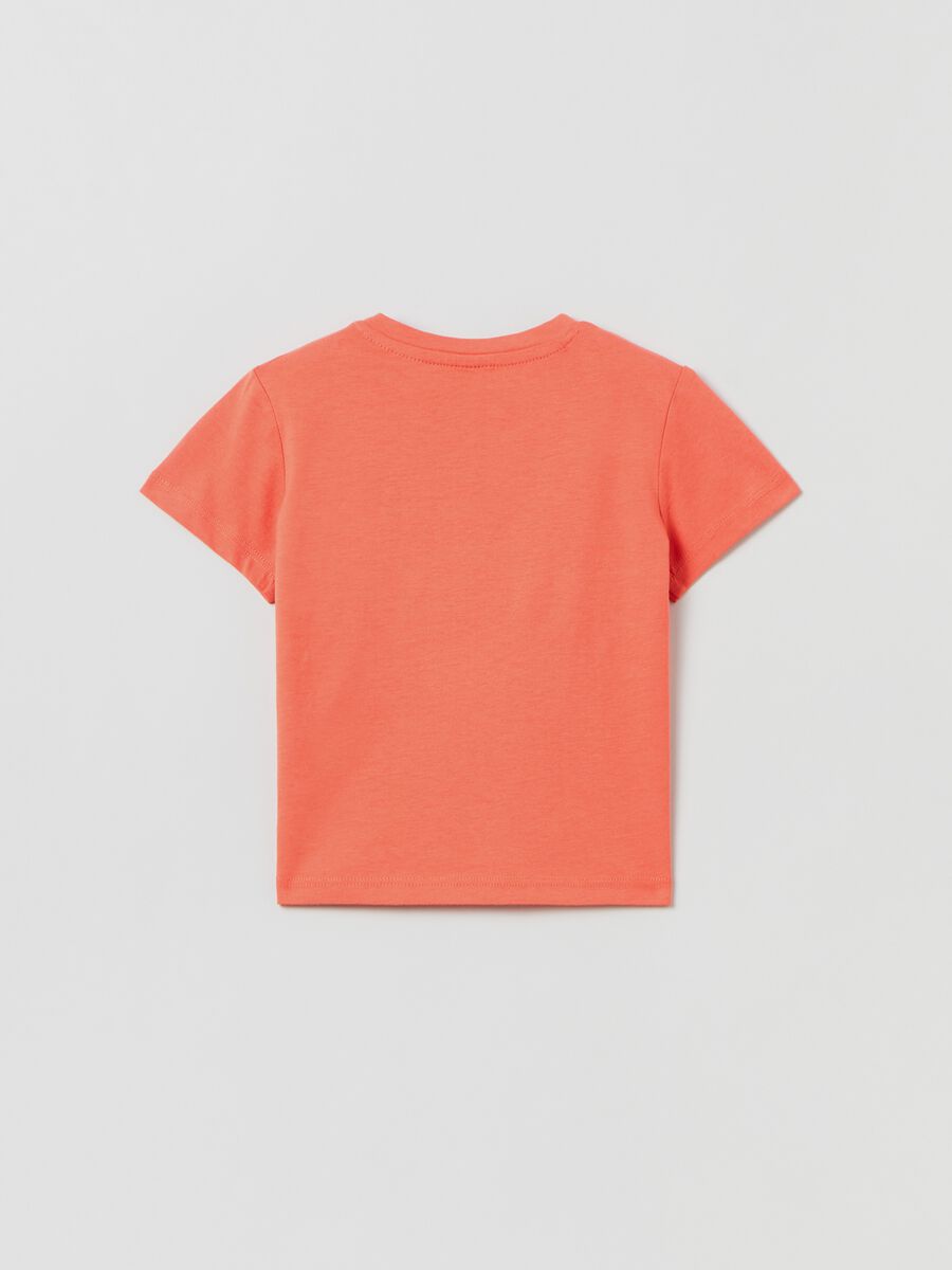 Camiseta de algodón con bordado camaleón_1