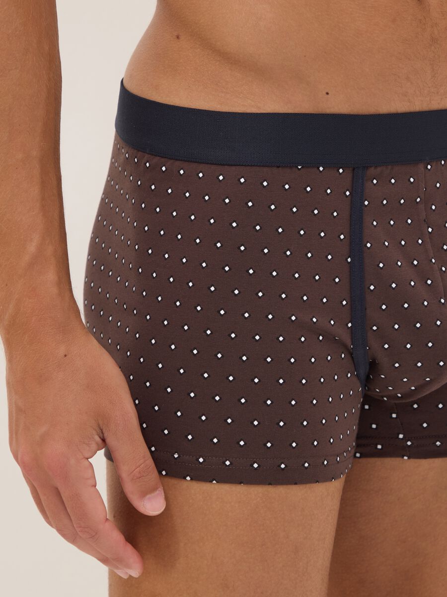 3er-Pack braune Boxer aus elastischer Bio-Baumwolle mit Punkten_3