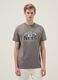 Camiseta gris de puro algod&oacute;n, ajuste regular con estampado de Brooklyn Nets_2