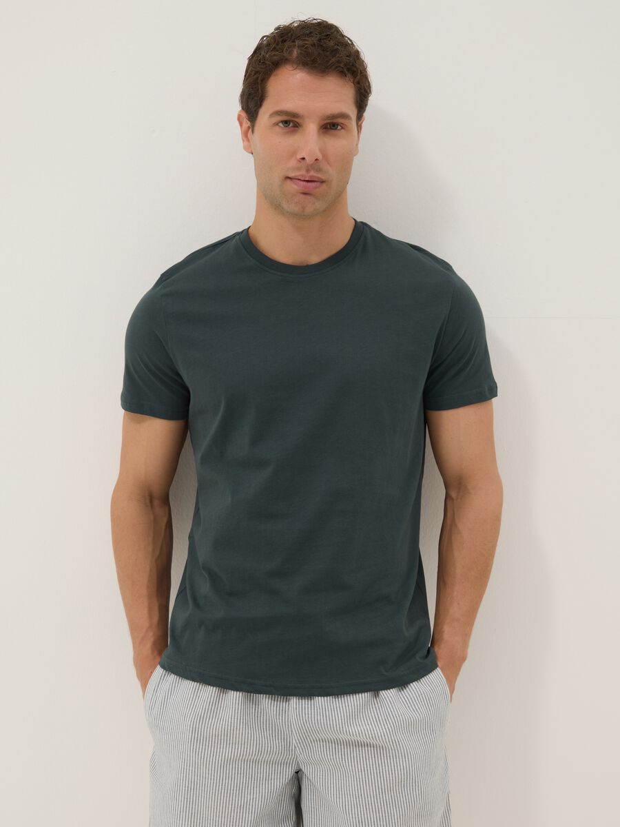 &Pi;&rho;ά&sigma;&iota;&nu;&omicron; &kappa;&omicron;&nu;&tau;ό &pi;&iota;&tau;&zeta;ά&mu;&alpha; &mu;&epsilon; &rho;ί&gamma;&epsilon;&sigmaf; &alpha;&pi;ό &kappa;&alpha;&theta;&alpha;&rho;ό &omicron;&rho;&gamma;&alpha;&nu;&iota;&kappa;ό &beta;&alpha;&mu;&beta;ά&kappa;&iota;_1