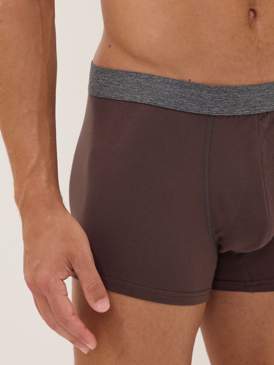 Pack of five multicolour stretch organic cotton boxer shorts_3