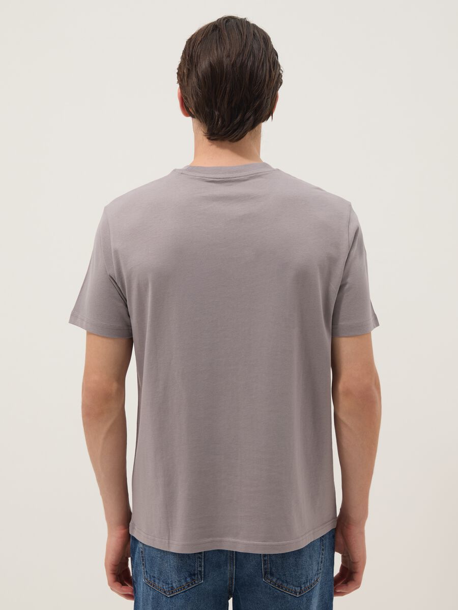Graues T-Shirt aus reiner Baumwolle mit Frontprint, Regular Fit_2