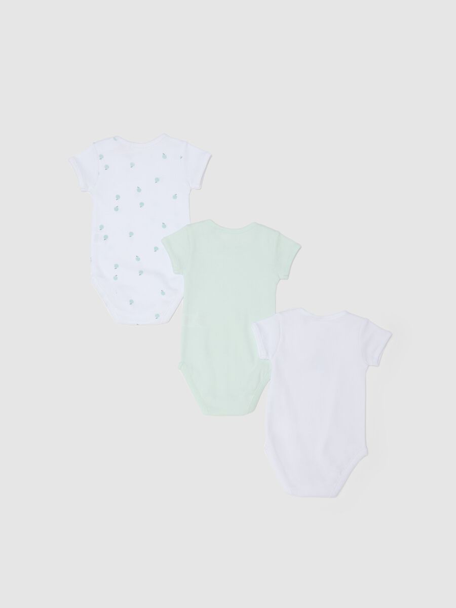 Baby multicolour pure cotton bodysuit tripack with fruit_1