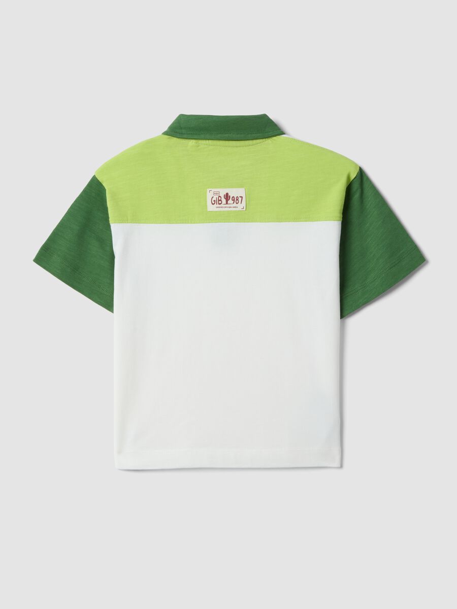 Boys&rsquo; multicolour pure cotton polo shirt, oversized fit_1