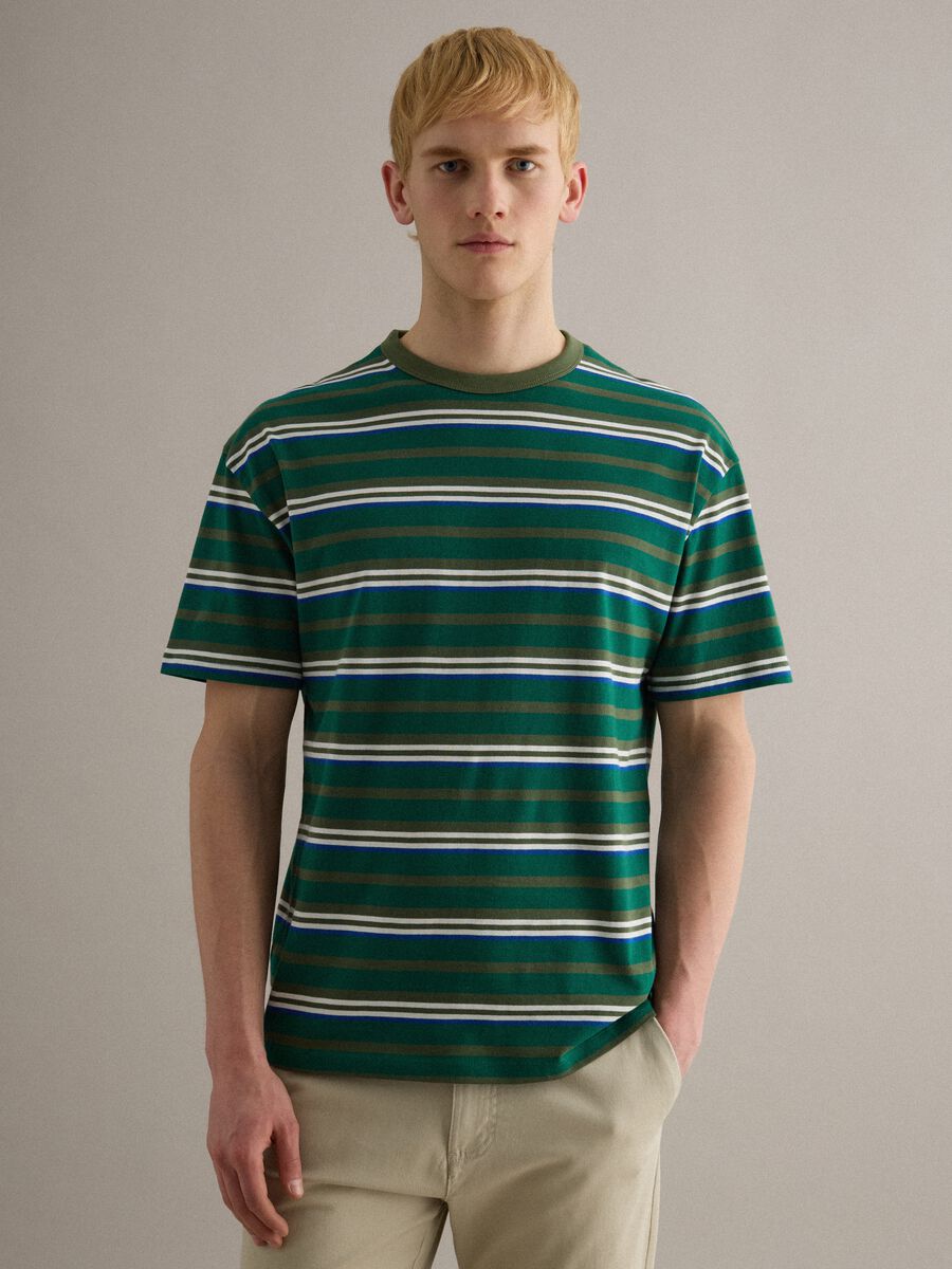Pure Cotton Multicolour Striped T-shirt Regular Fit_1