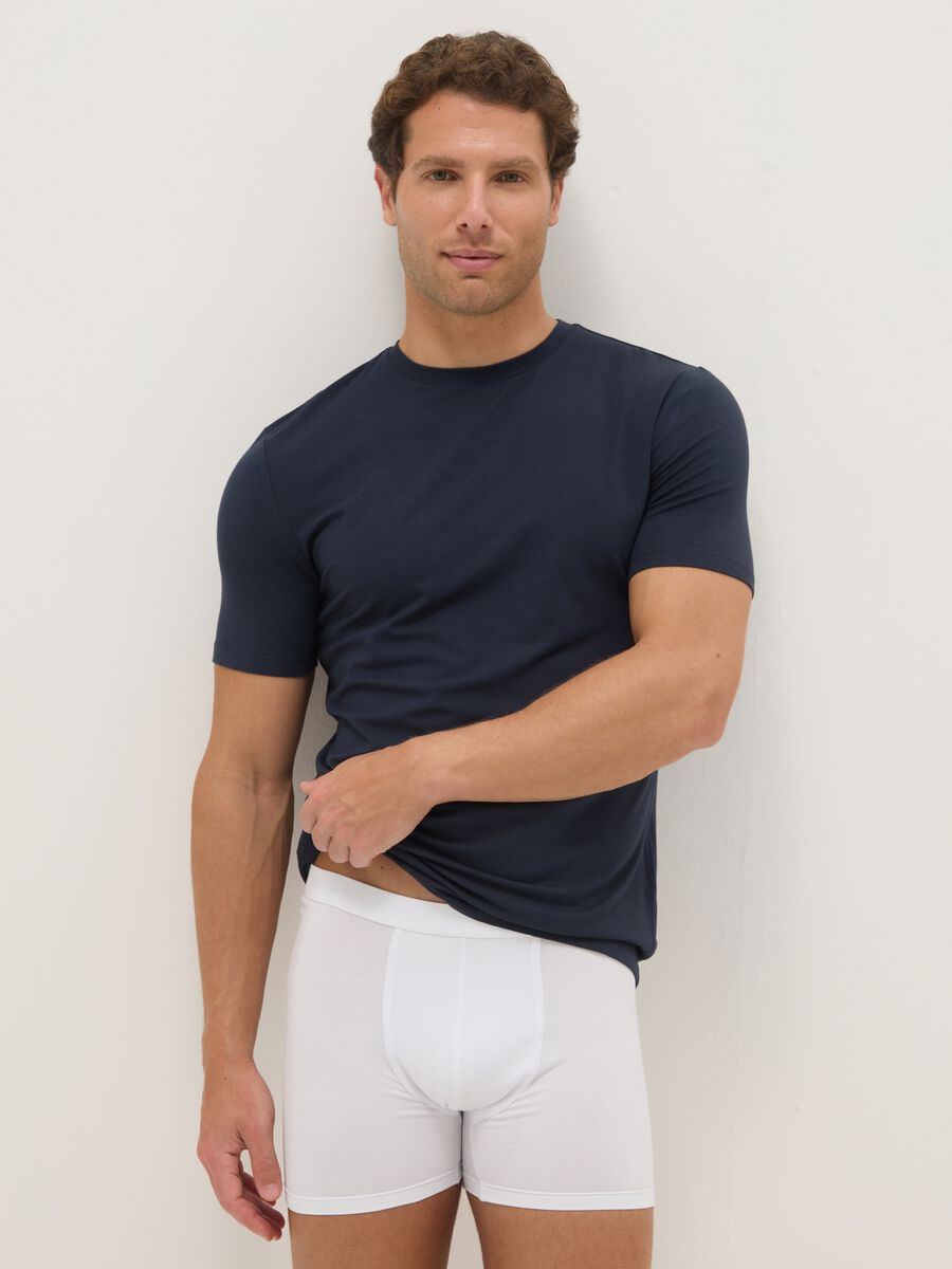 Blaue Rundhals T-Shirt Regular Fit_0