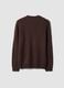 Brown crew-neck jersey knit jumper, regular fit_2