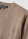 Beige crew-neck regular-fit jersey knit jumper_1