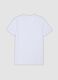 White Supima cotton crew-neck T-shirt, regular fit_6