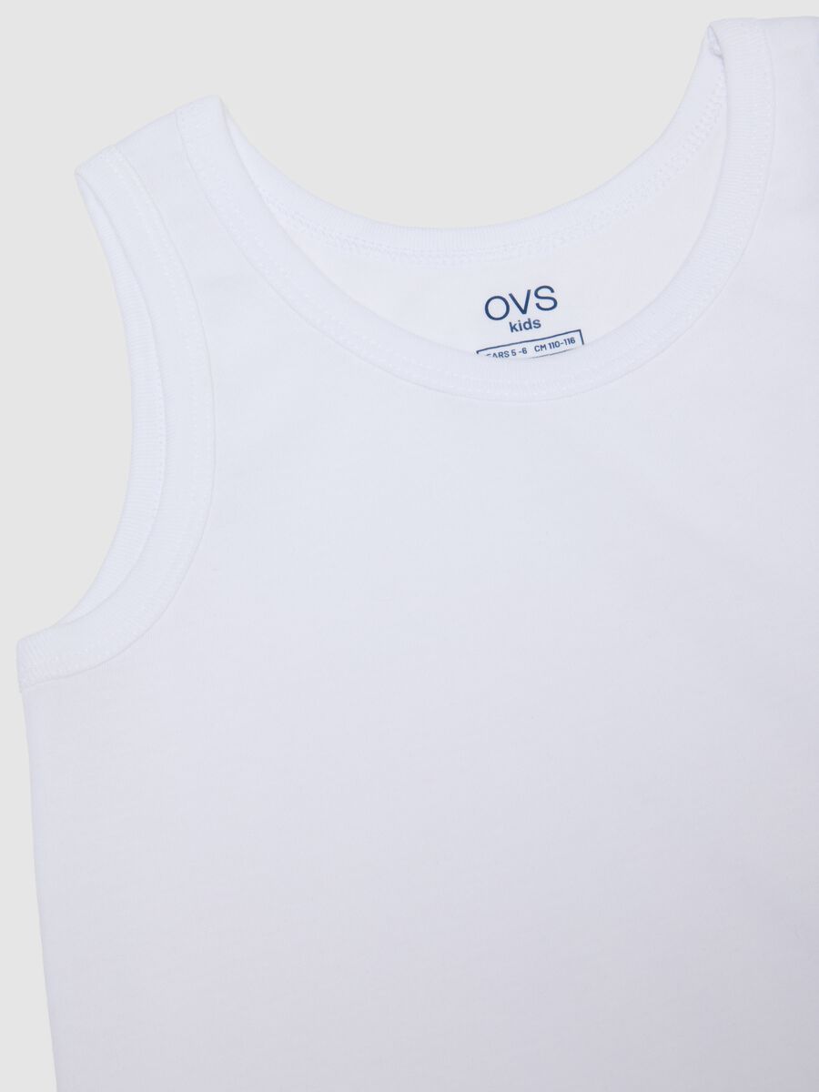 Boys' multicolour pure cotton regular fit tank top twin pack_2