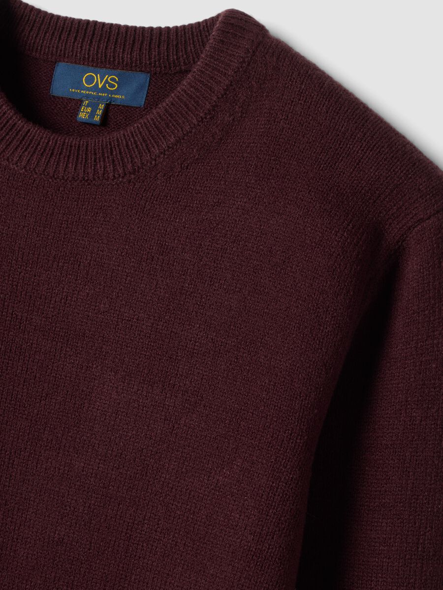 Burgundy crew-neck jersey knit jumper, regular fit_1