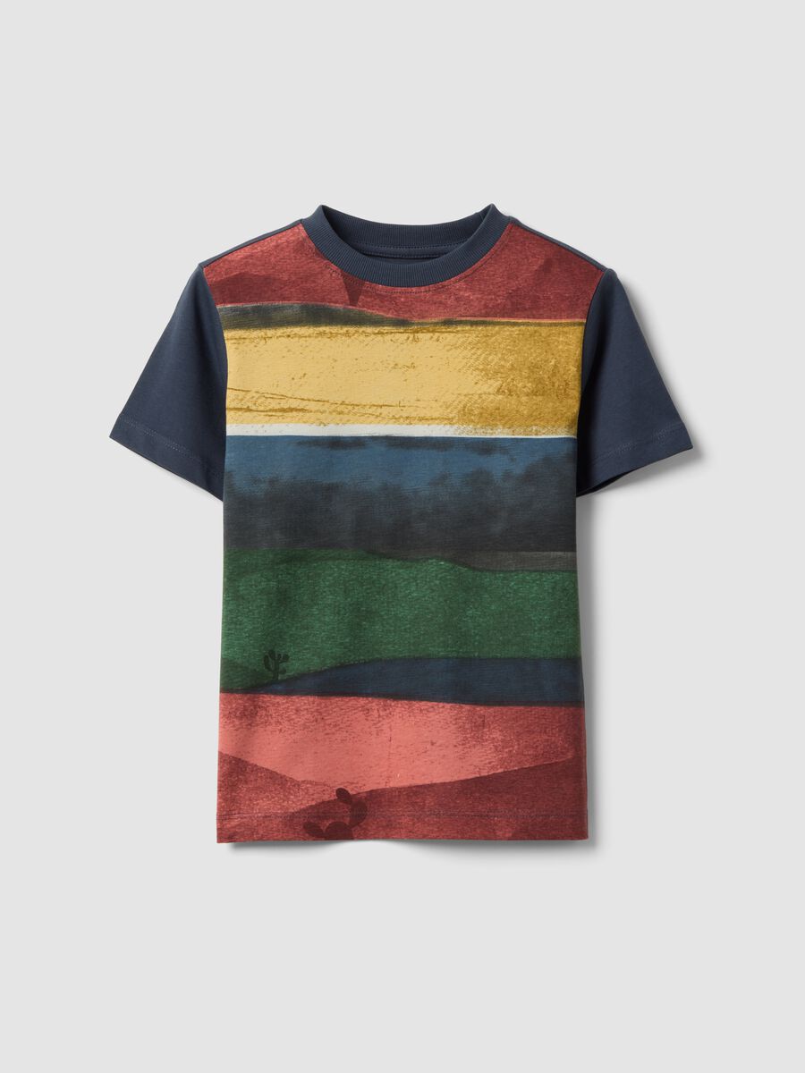 Multicolour striped pure cotton regular fit T-shirt for boys_0