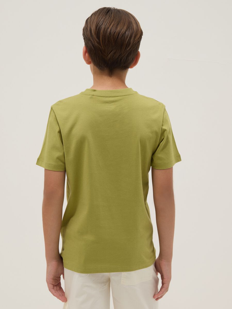 Camiseta verde de algod&oacute;n org&aacute;nico de manga corta_2