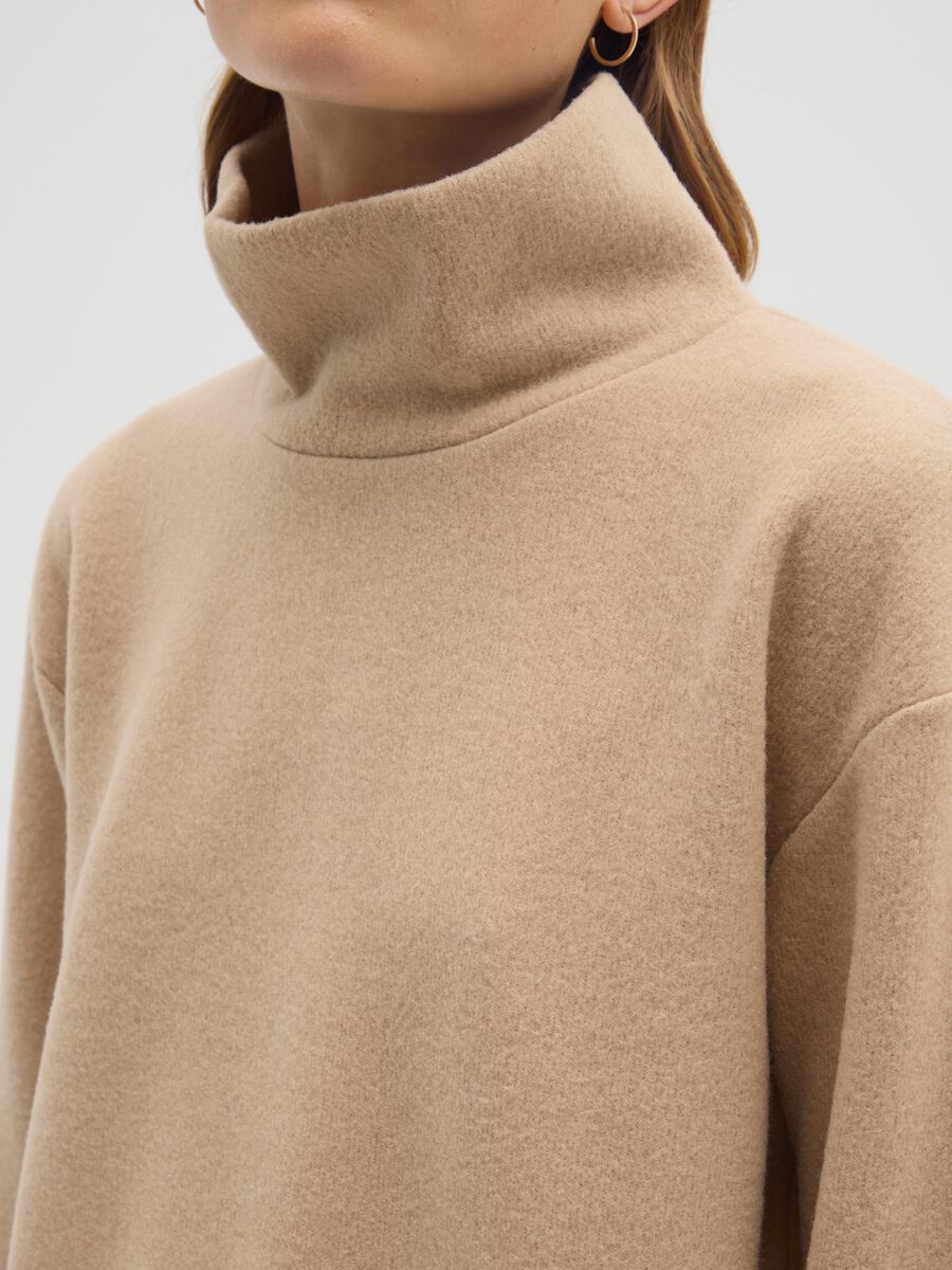 Beige High Neck Regular Fit Jumper_3