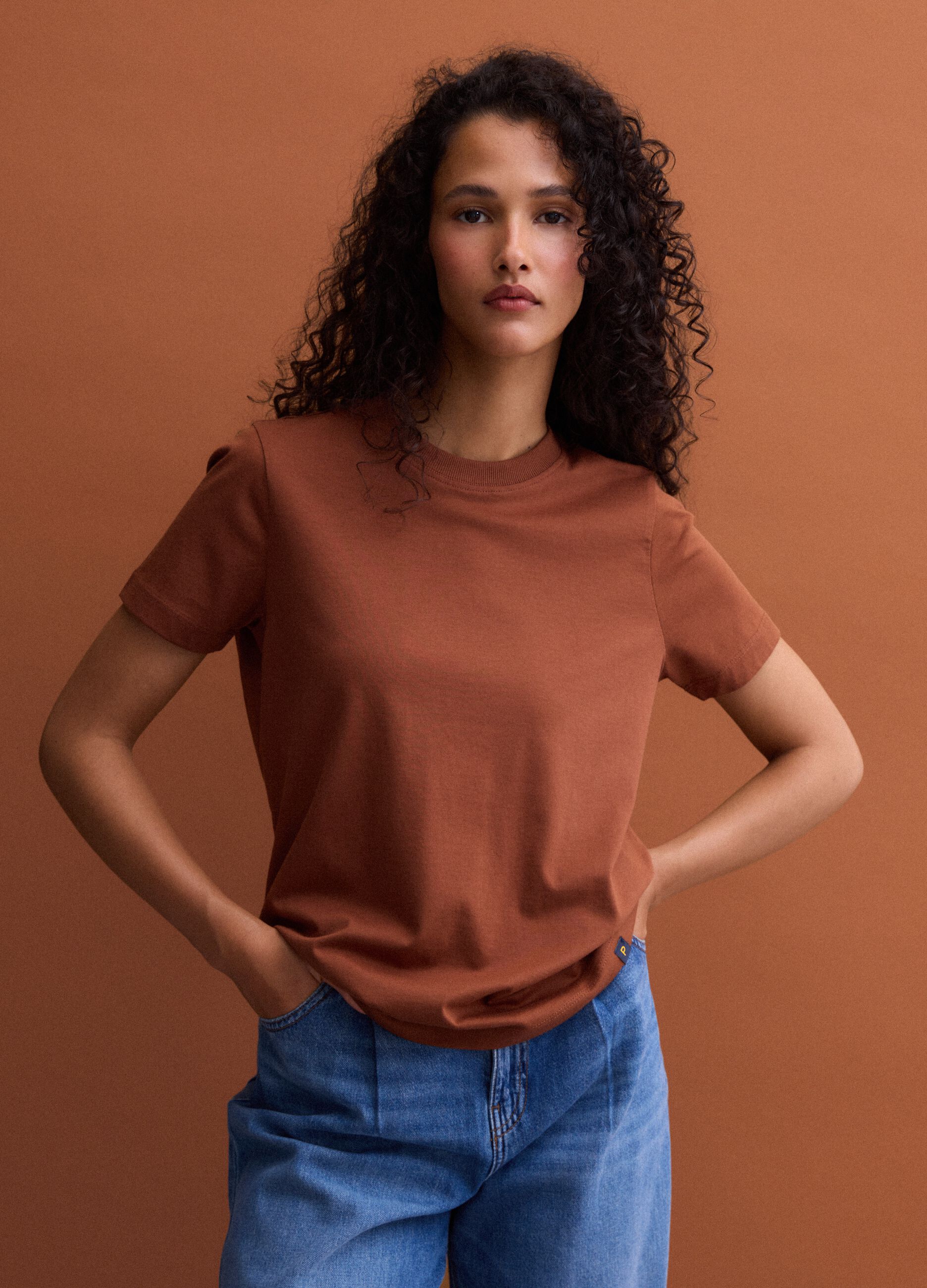 Brown Supima cotton crew-neck T-shirt, regular fit