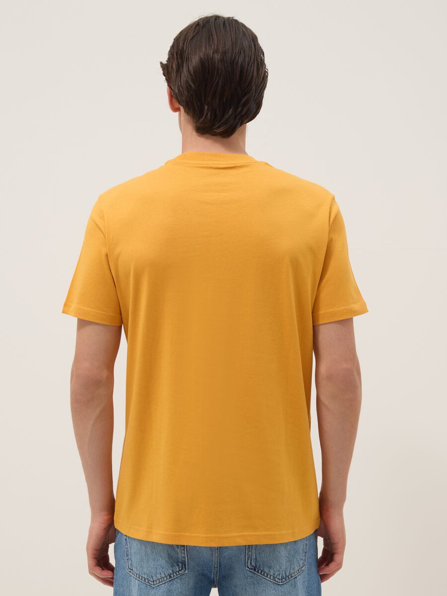 Oranges T-Shirt aus reiner Baumwolle mit Frontprint, Regular Fit_2