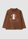 Maglia marrone scuro in puro cotone organico con dolcevita_0