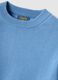 Blue children's pure cotton crew neck jumper regular fit_2