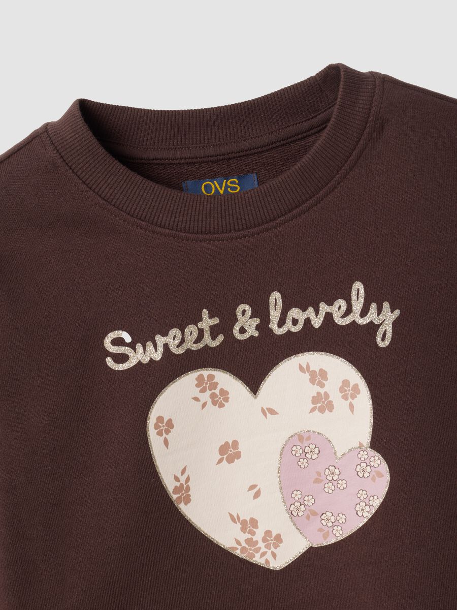 Brown 100% cotton sweatshirt with front print_3