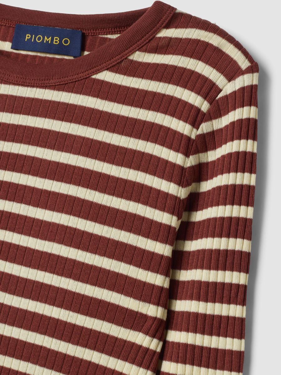 Brown striped pure cotton ribbed regular-fit T-shirt_1