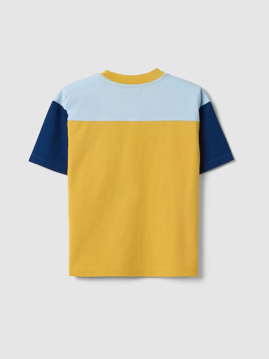 Multicolour pure cotton children's t-shirt regular fit with number 23_1