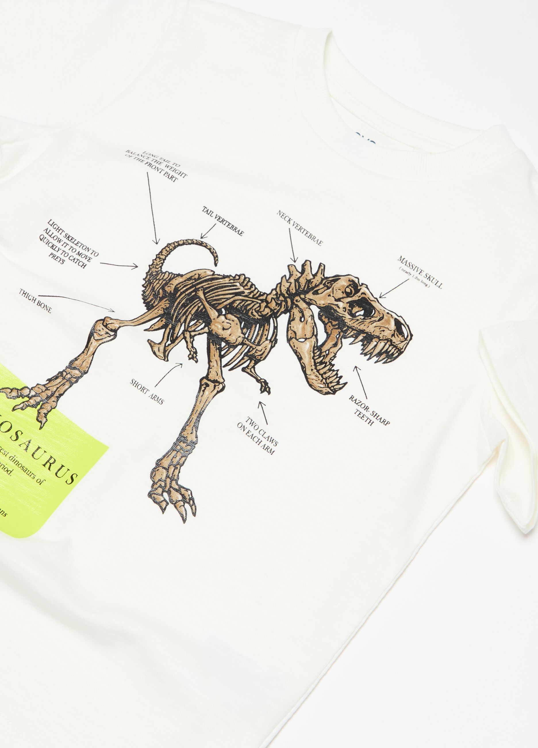 T-shirt in cotone con stampa dinosauro