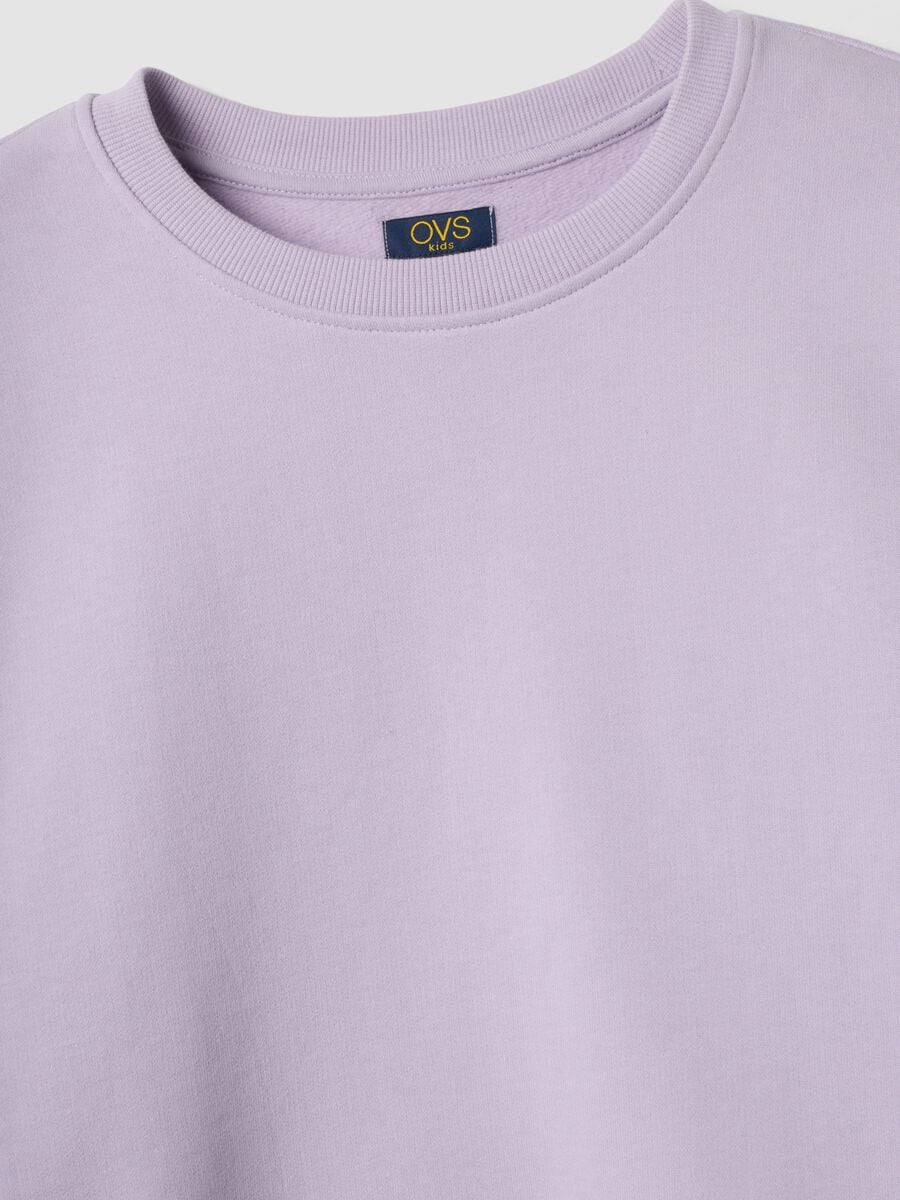 Violetter Sweatshirt aus reiner Bio-Baumwolle mit Rippkragen_2