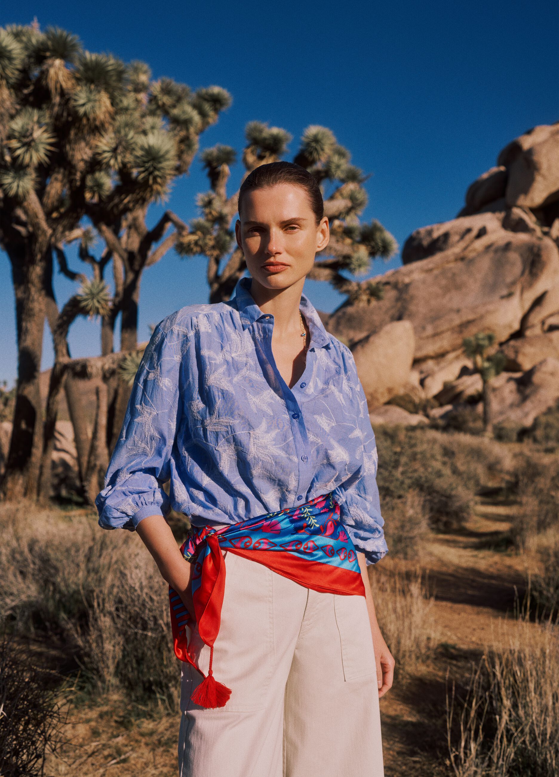 Multifarbige Regular Fit Baumwollhemd mit Muster