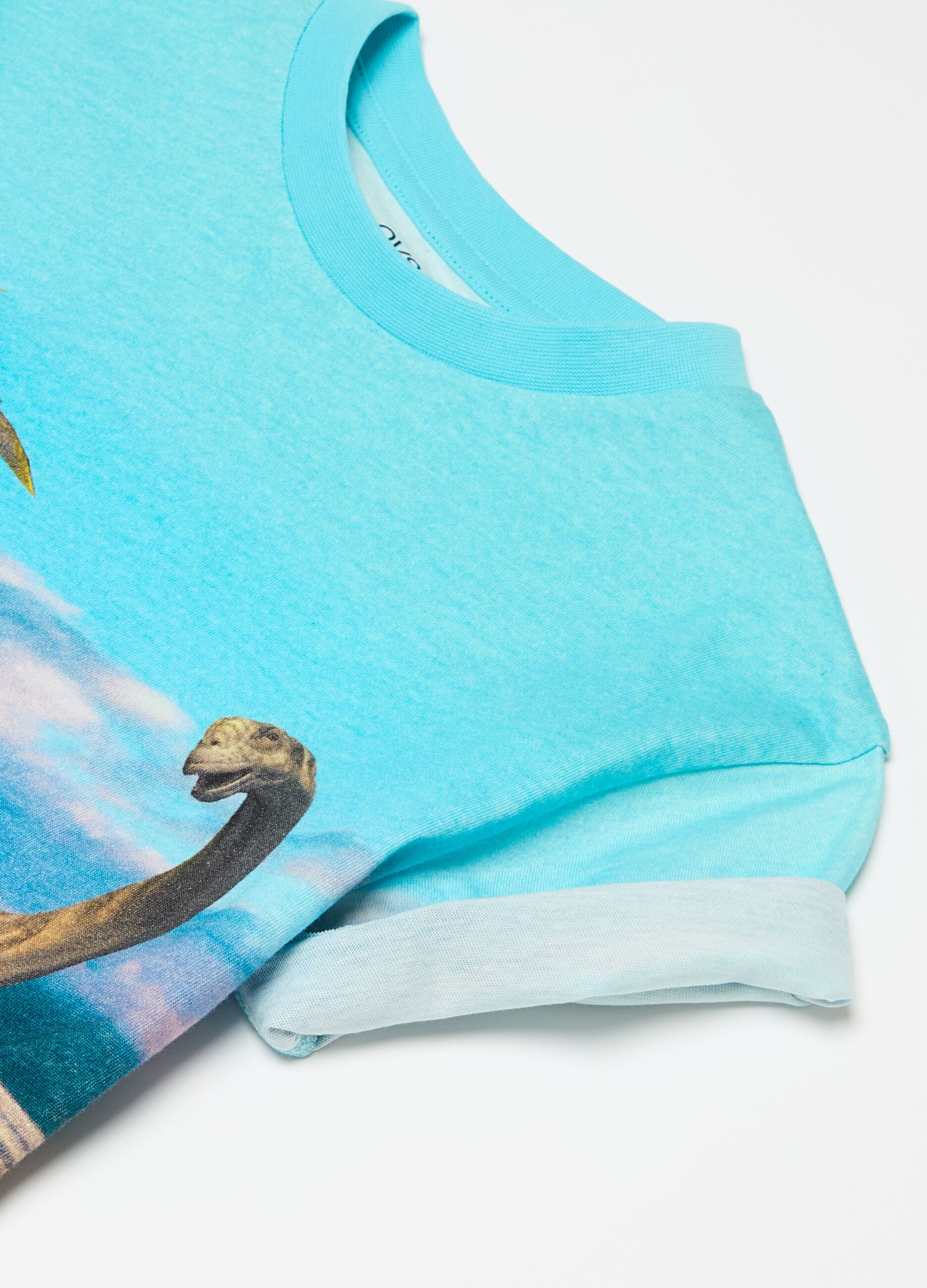 Cotton T-shirt with dinosaurs print