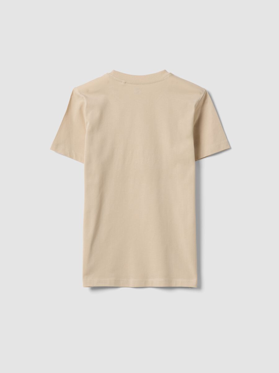 Beige pure cotton regular-fit boys&rsquo; T-shirt with prints_4
