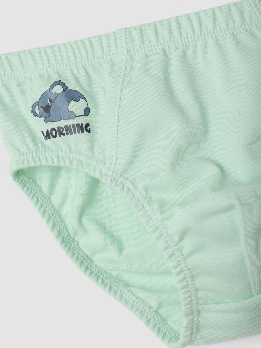 5-pack multicolour koala-print briefs in pure organic cotton_2