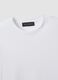 White pure-cotton crew-neck T-shirt in a regular fit_2