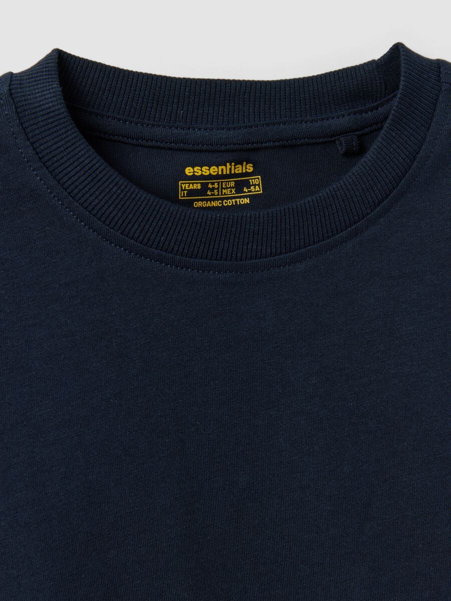 Blue organic cotton crew-neck T-shirt for boys, regular fit_2
