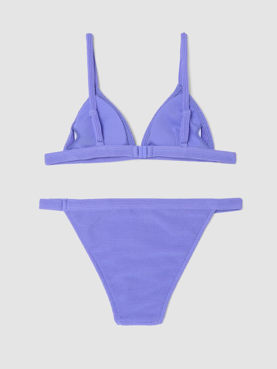 Purple stretch-fabric bikini_1