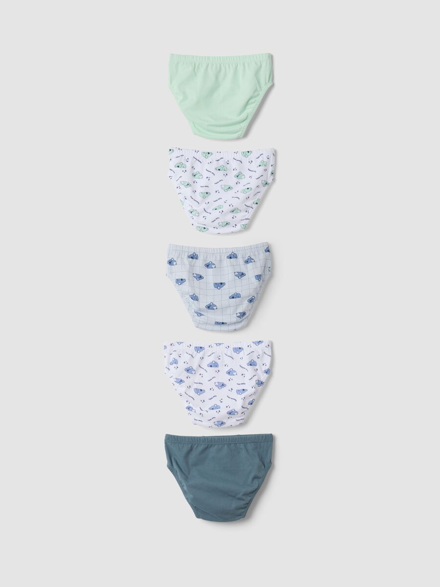 5-pack multicolour koala-print briefs in pure organic cotton_1
