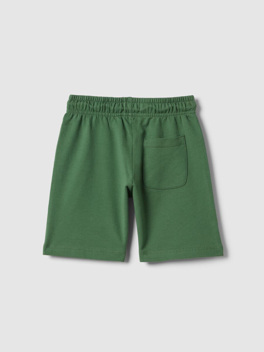 Green pure cotton regular fit shorts for boys_1