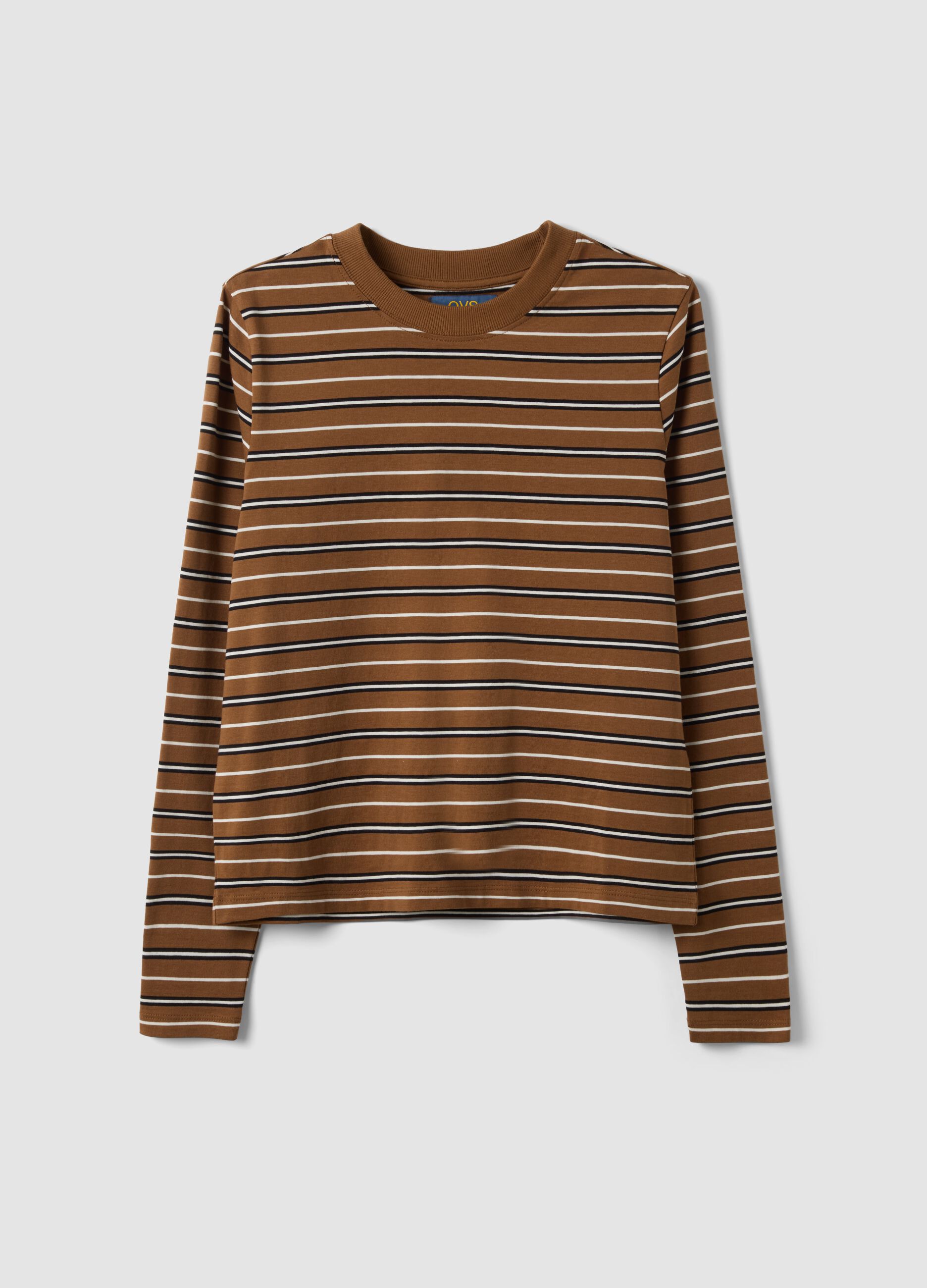 T-shirt multicolor in puro cotone a righe con girocollo regular fit