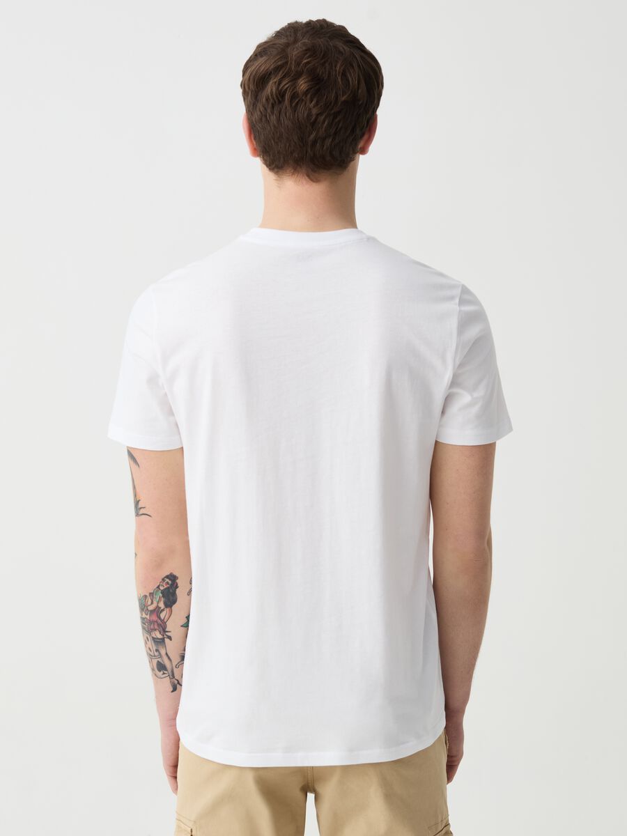 Cotton t-shirt with Dolomiti print_2