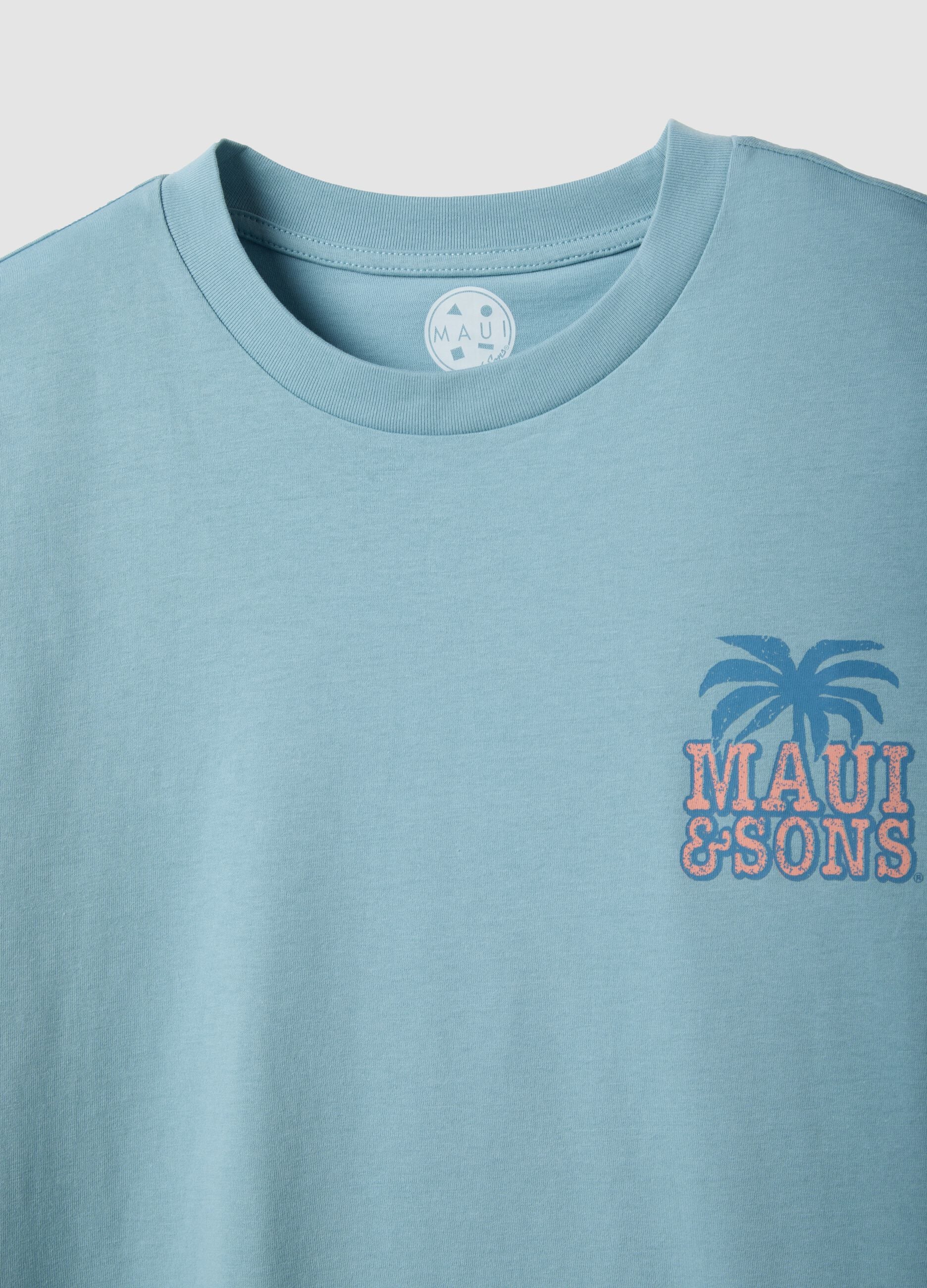 Blue short-sleeve pure cotton T-shirt with print, relaxed fit