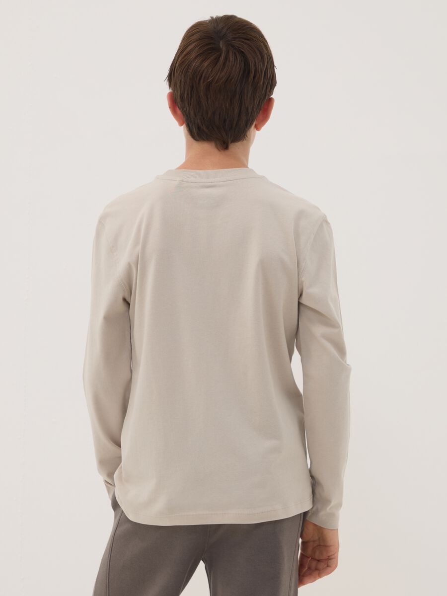 Grey pure organic cotton printed T-shirt for boys_2