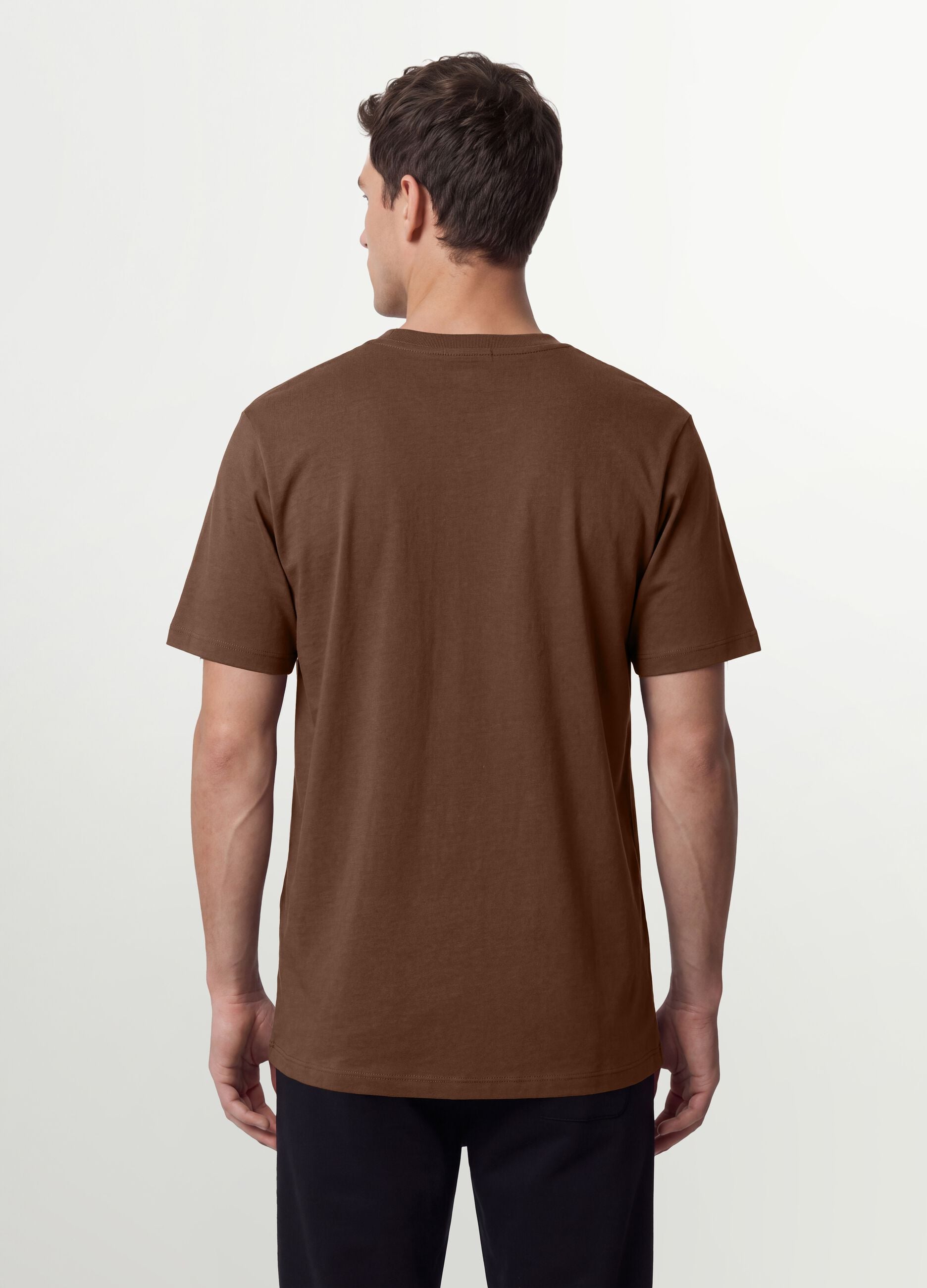 Brown regular-fit T-shirt in pure organic cotton jersey